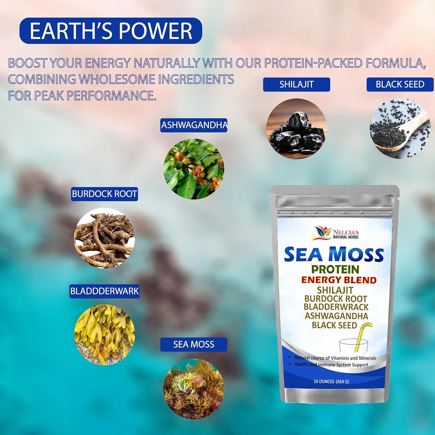 Natural Irish Sea Moss Protein Powder