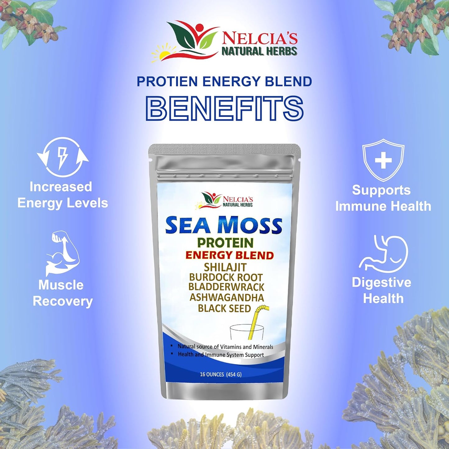 Natural Irish Sea Moss Protein Powder