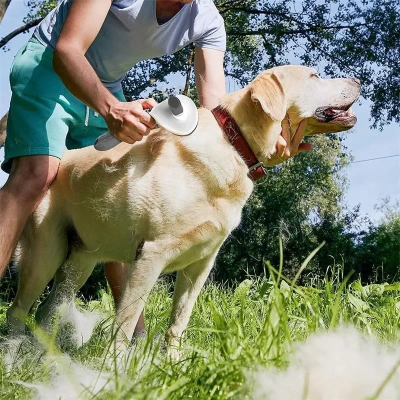 Pet Dog Brush Cat Comb Self Cleaning Pet