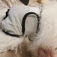 Reusable Sanitary Panties Washable Small Dog Pet