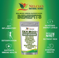Sea Moss Green SuperFood supplement
